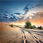 Country road in the desert at sunset