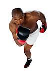 Portrait of aggressive male boxer isolated against white background