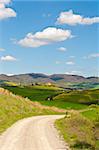 Dirt Road and Green Sloping Meadows of Tuscany