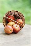 gala apples in a wicker basket, on wooden table