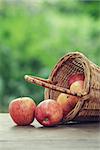 gala apples in a wicker basket, vintage edition