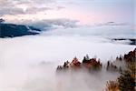 top view on sunrise over dense fog in Alps, Germany