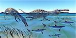 Two Suchomimus dinosaurs hunt small sharks in ocean shallow water.