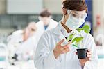 Woman standing at the laboratory while holding a plant adding chemical to soil with syringe