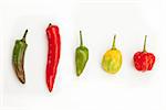 Line up of spicy chillies in a row
