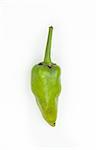 Green jalapeno pepper
