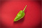 Green jalapeno chili pepper