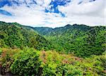 Summer landscape in the Smoky Mountains near Gatlinburg, Tennessee.