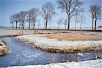 frozen canal in Dutch winter farmland