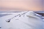 old dike in frozen north sea under snow at sunset