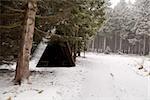 wooden hut in forest during snowfall, Harz mountains