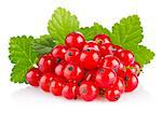 red currant with green leaf isolated on white background