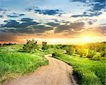 Country road in spring field in the evening