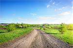 Country road in a rural area. Ukraine