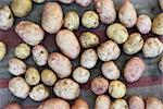potatoes raw vegetables food close up