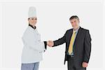 Portrait of happy businessman and female chef shaking hands over white background