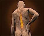 Digital skeleton having highlighted pain on his back against a dark background