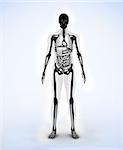 Black digital skeleton body standing