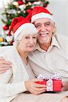 Happy elderly couple on the couch at christmas with gift