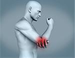 Elbow pain highlighted on white human figure