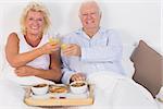 Smiling aged couple toasting and lying on the bed