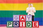 Blocks spelling gay pride with gay groom cake topper on rainbow background