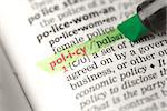 Policy definition highlighted in green in the dictionary