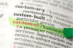 Customer definition highlighted in green in the dictionary