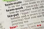 Teamwork definition in the dictionary