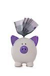 Euros sticking out of hand painted purple and white piggy bank on white background