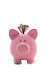 Dollar sticking out of pink piggy bank on white background