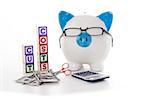 Blue and white piggy bank wearing glasses with cut costs blocks and scissors cutting dollars