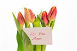 Bouquet of pink and yellow tulips with mothers day greeting card on white background