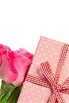 Pink roses leaning on pink polka dot wrapped present on white background with copy space