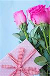 Bouquet of pink roses in vase with pink gift on blue background