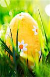 Easter egg nestled in the green grass in the sunshine