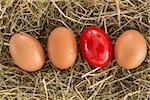 Red handpainted egg on straw with plain ones