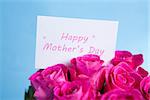 Bouquet of pink roses with mothers day card on blue background