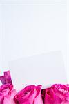 Bouquet of pink roses with empty card on white background