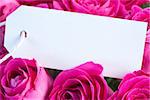 Bouquet of pink roses with an empty card close up