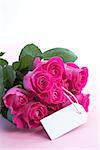 Bouquet of pink roses with an empty card on a light pink table