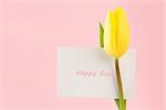 Yellow tulip with a Happy Easter card written in pink on a pink background