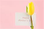 Yellow tulip with a Happy mothers day card on a pink background close up