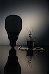 Economic bulb silhouette standing next to a broken clear light bulb in the darkness