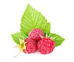 ripe raspberry with green leaf isolated on white background