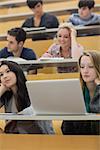 Listening students sitting in a lecture hall while taking notes and working with the laptop