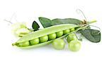 green pea with leaves and flower isolated on white background