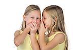 Little girl whispering to her sister on a white background