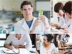 Collage of students doing chemistry at the university