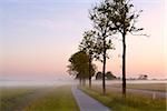 bicycle path in misty morning at sunrise, Holland
